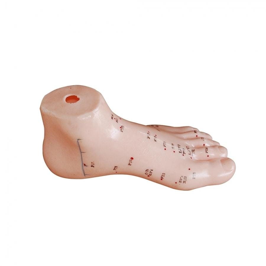 66FIT FOOT ACUPUNCTURE MODEL - 13CM